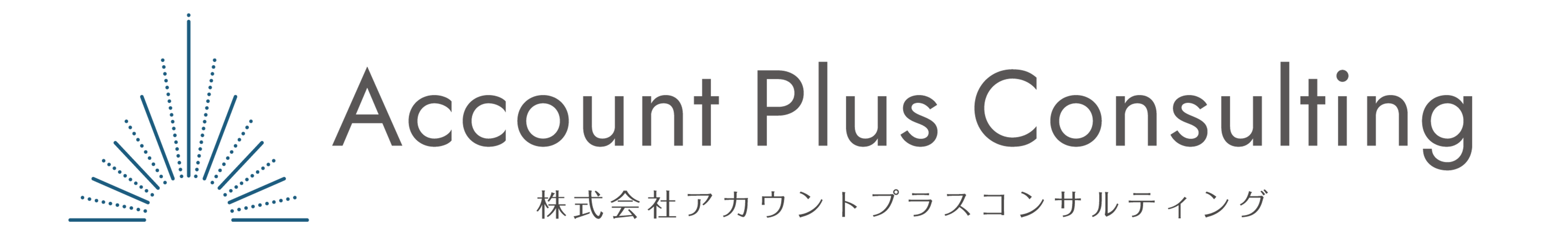 アカウントプラスコンサルティング